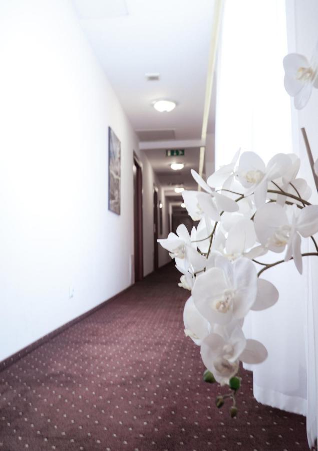 City Center Rooms Piotrkowska 91 Łódź Exterior foto